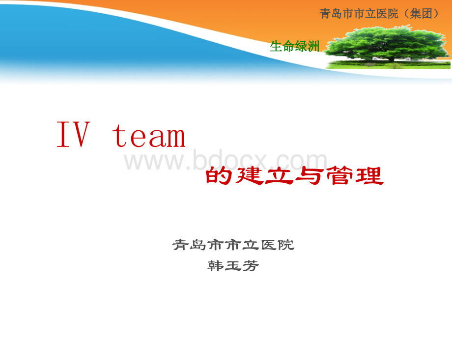 IVteam的建立与管理优质PPT.ppt_第1页