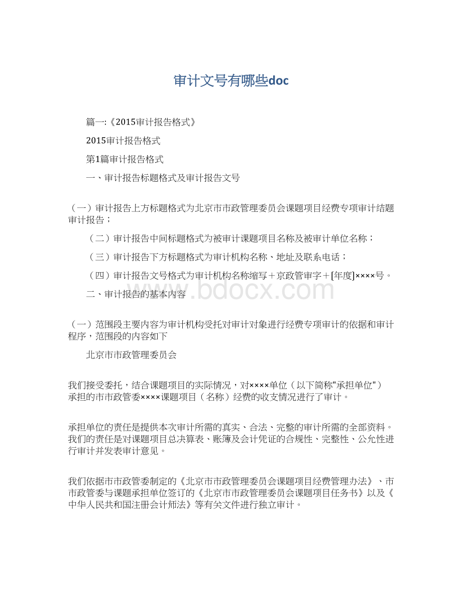 审计文号有哪些docWord下载.docx_第1页