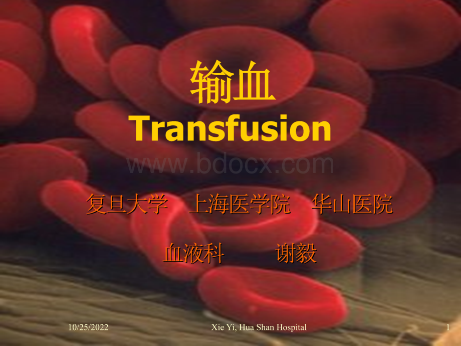 transfusion研优质PPT.ppt_第1页