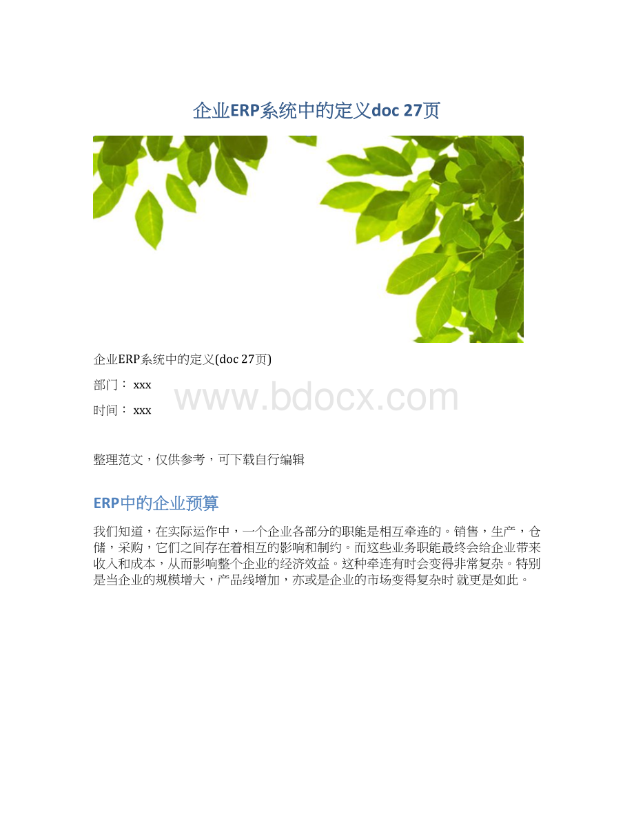 企业ERP系统中的定义doc 27页.docx