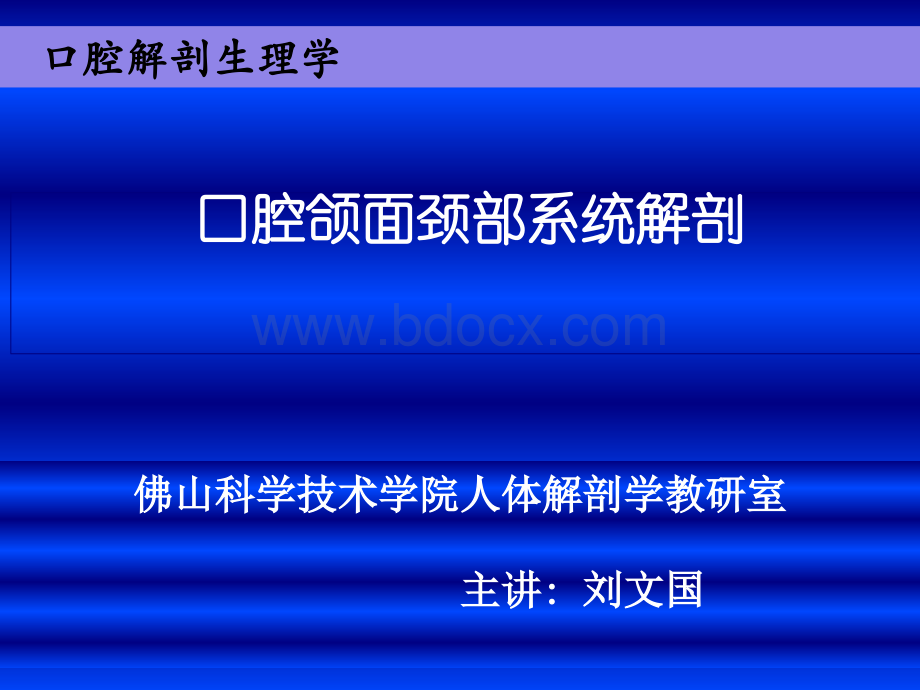 口腔面颈部系统解剖-上下颌骨PPT文件格式下载.ppt_第1页