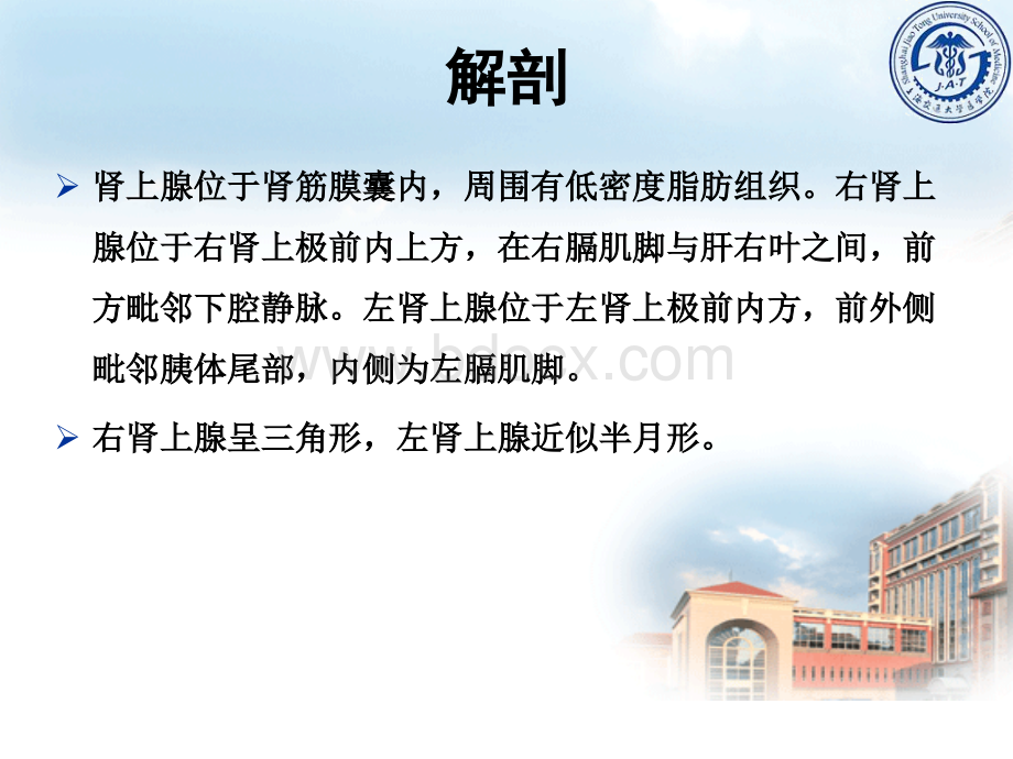 肾上腺疾病课件.ppt_第2页