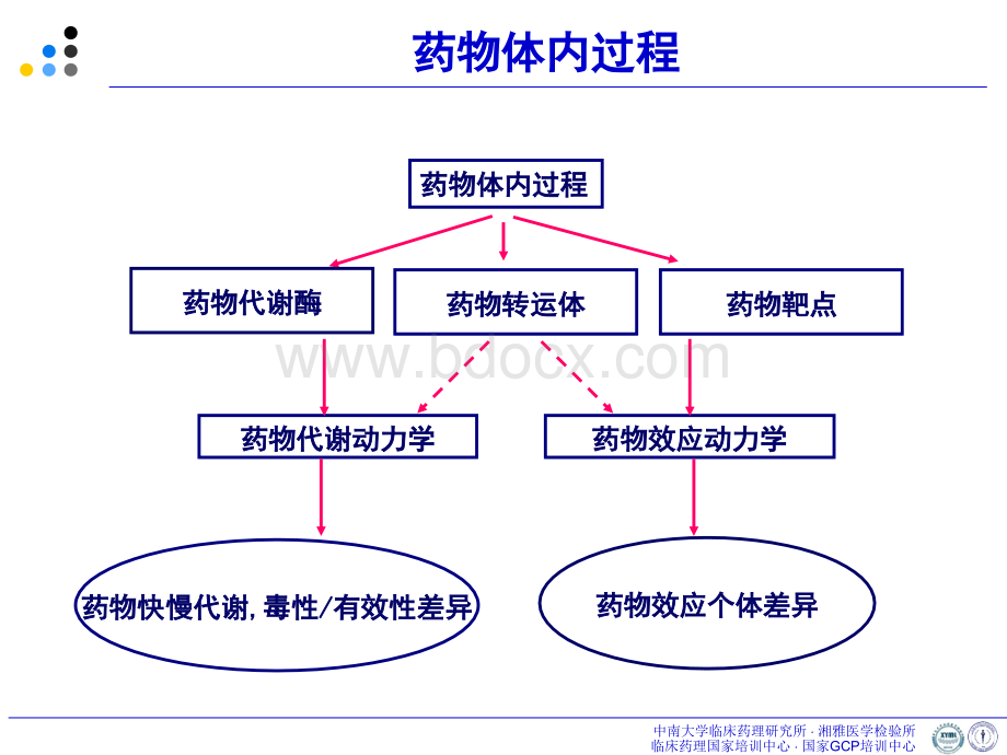 肿瘤常规化疗药物个体化治疗-郭栋.ppt_第2页