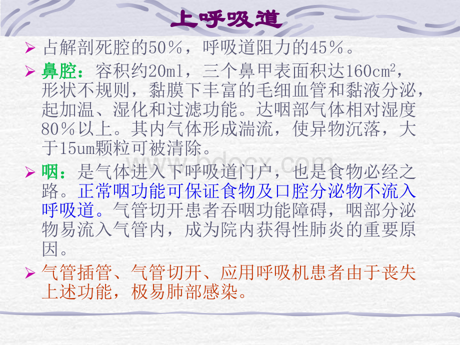 系统应用解剖和生理-北京协和医院呼吸科陆慰萱.ppt_第3页