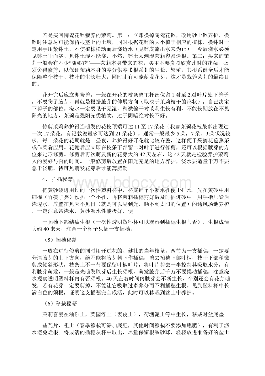 优质茉莉花叶子肥壮但不长花朵是什么原因实用word文档 12页文档格式.docx_第2页