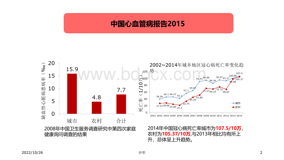 双心诊疗.pptx_第2页