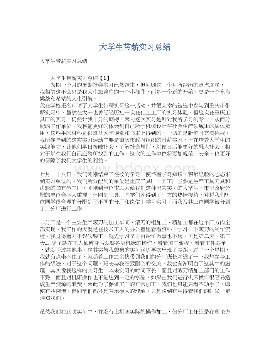 大学生带薪实习总结Word格式文档下载.docx