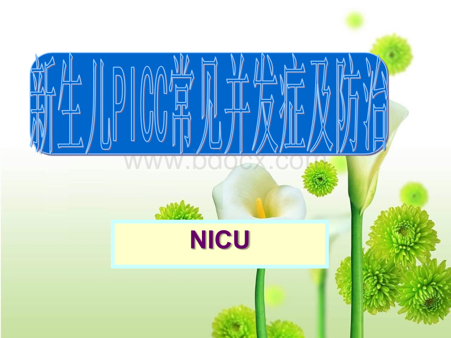 新生儿PICC常见并发症及防治PPT格式课件下载.ppt_第1页