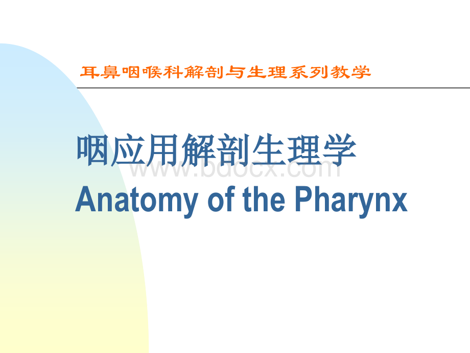 咽喉解剖生理.ppt_第1页