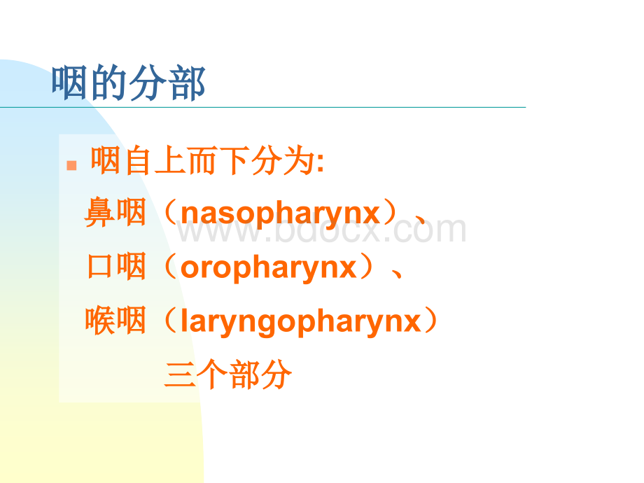 咽喉解剖生理.ppt_第3页