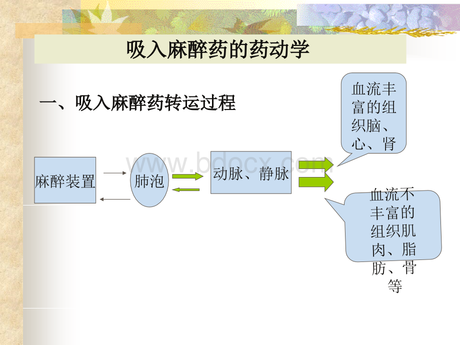 吸入麻醉药的药动学及药效学PPT文档格式.ppt_第2页