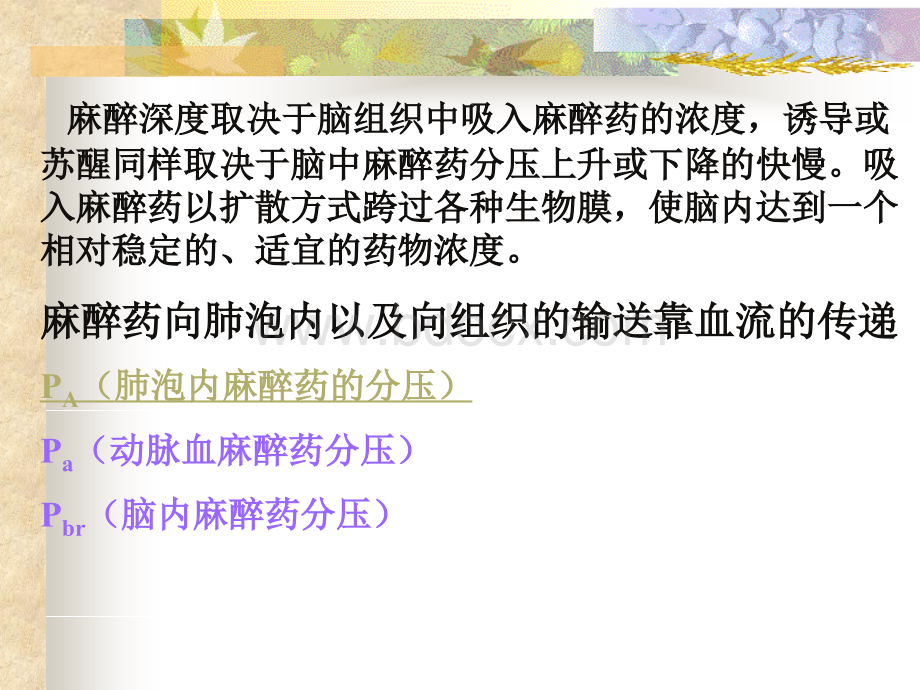 吸入麻醉药的药动学及药效学PPT文档格式.ppt_第3页