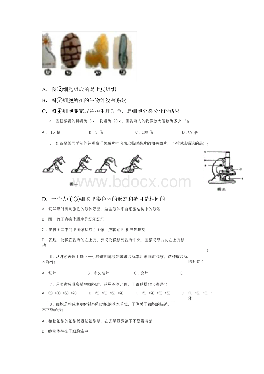 人教版新课程标准学年七年级第一次月考生物试题D卷.docx_第2页