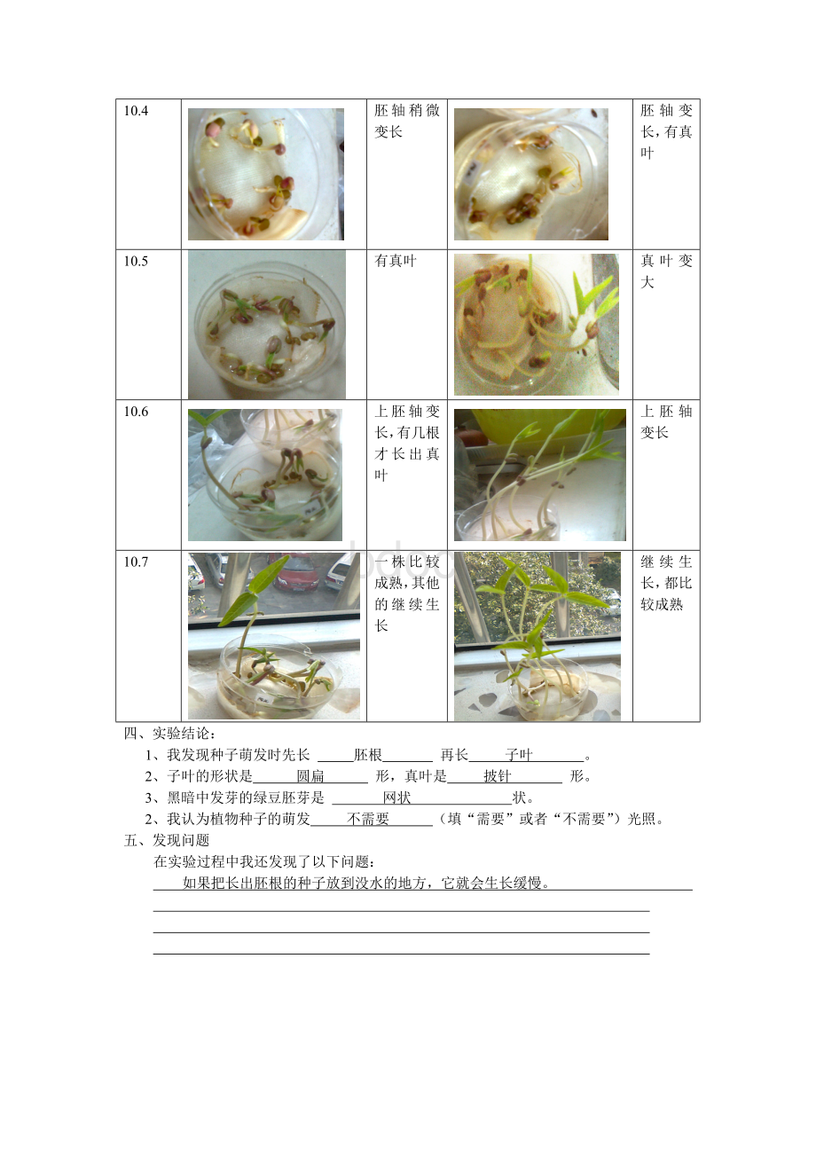 植物种子萌发实验记录表.doc_第2页