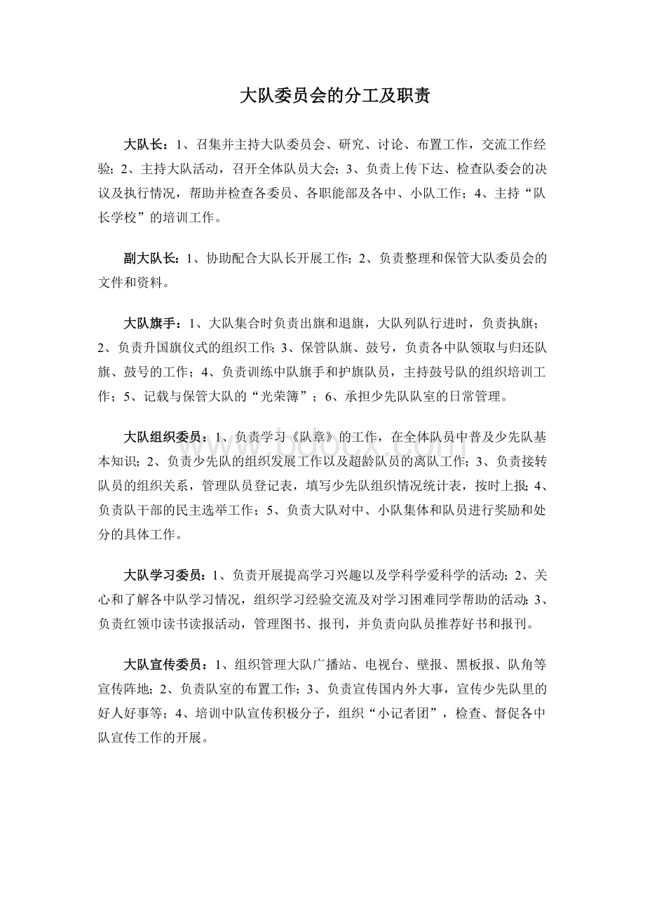 大队委员会的分工及职责Word格式.doc