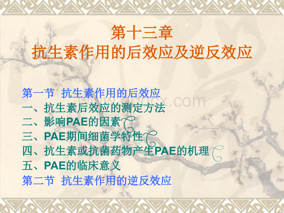 抗生素后效应与逆反效应优质PPT.ppt