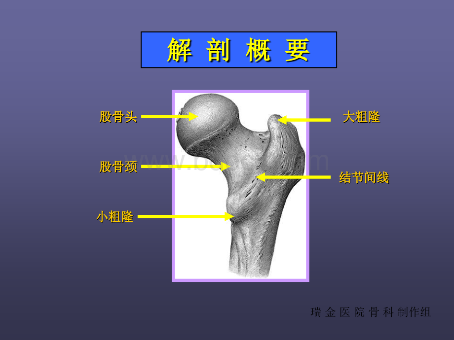 股骨颈骨折-PPTPPT文档格式.ppt_第3页