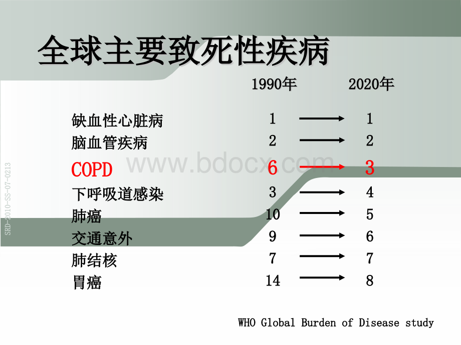 慢阻肺的诊断与评估.ppt_第2页