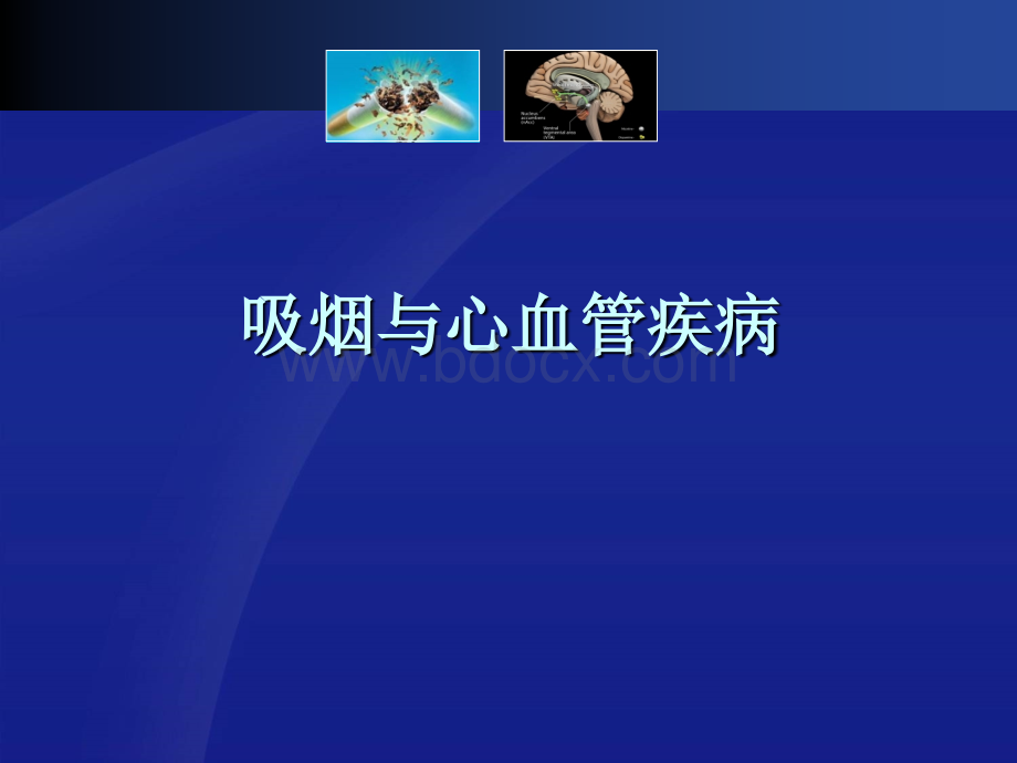 吸烟与心血管疾病优质PPT.ppt