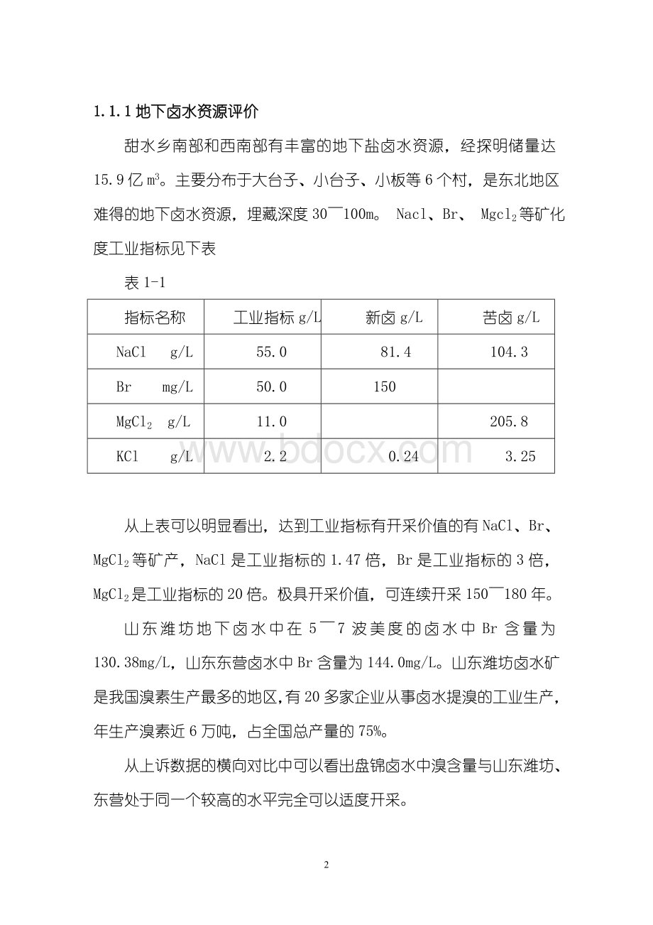 盐化工产业园区基础设施建设项目可行性研究报告Word格式.doc_第2页