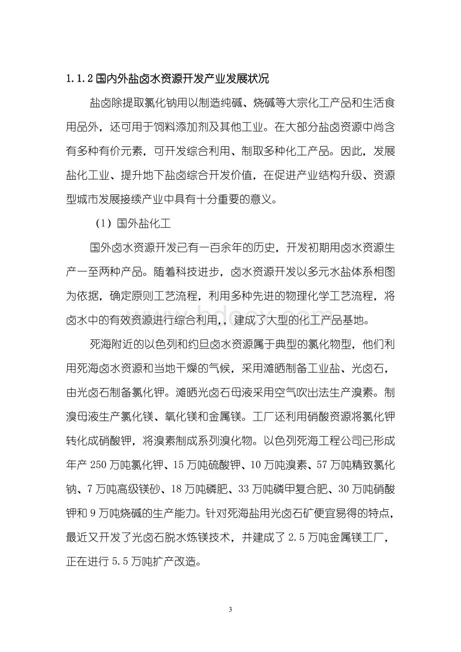 盐化工产业园区基础设施建设项目可行性研究报告Word格式.doc_第3页