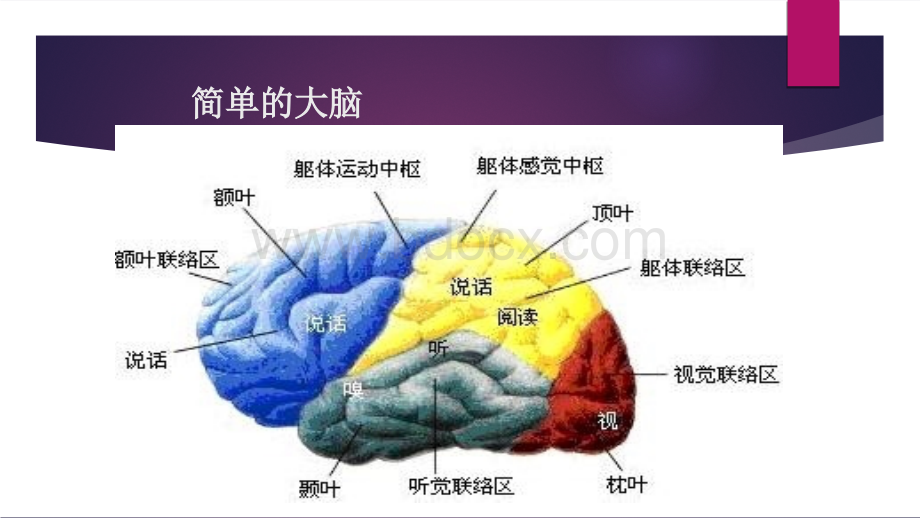 老年人脑血管病的预防.ppt_第3页