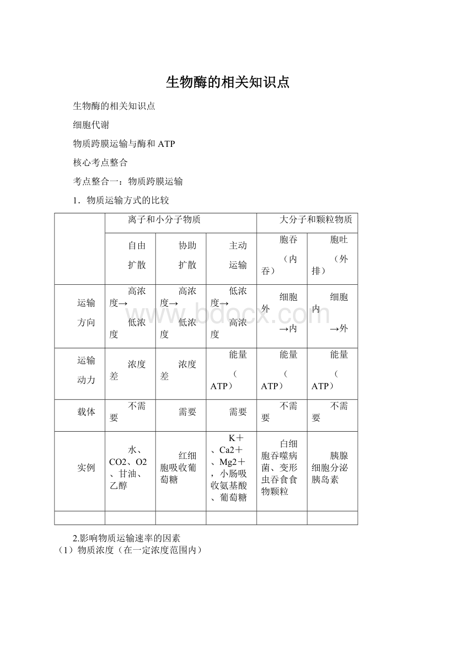 生物酶的相关知识点文档格式.docx