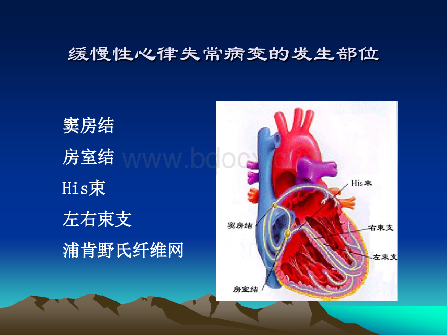 缓慢性心律失常的诊断及治疗.ppt_第3页