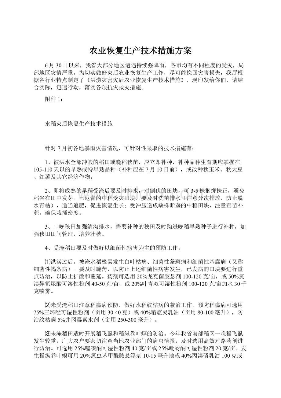 农业恢复生产技术措施方案.docx