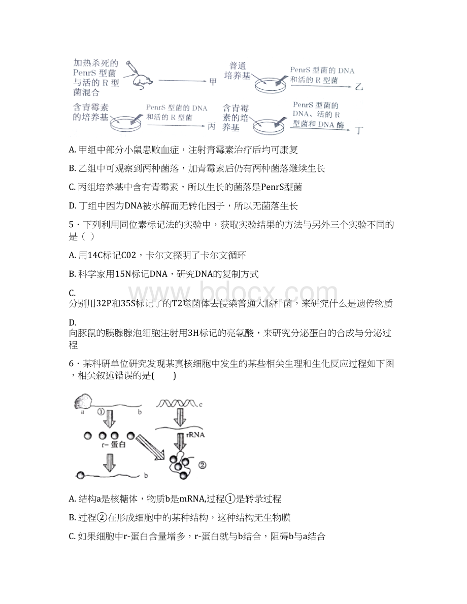 深圳市高二生物上学期期中试题.docx_第3页