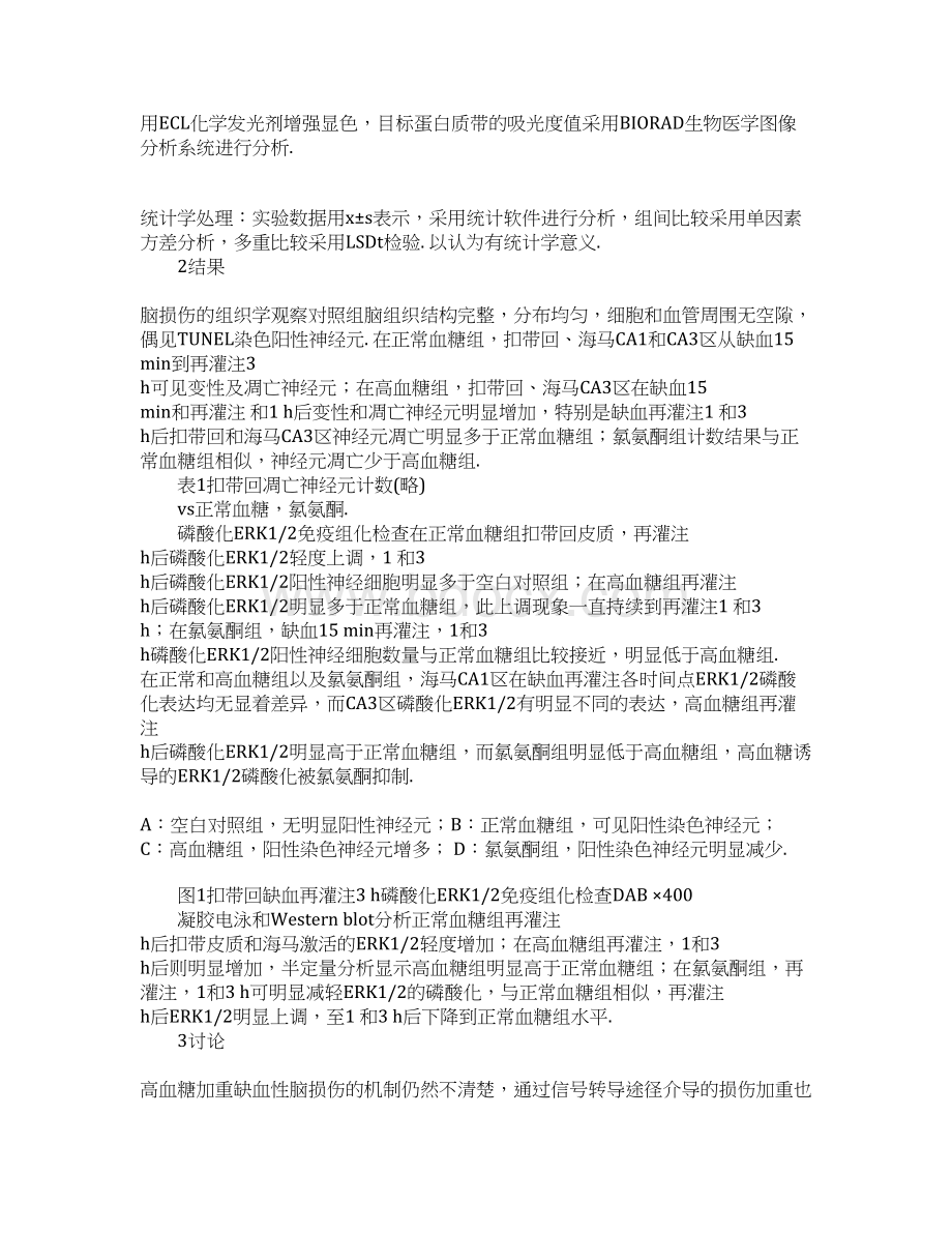 氯氨酮减轻高血糖大鼠脑缺血所致的神经元凋亡.docx_第3页