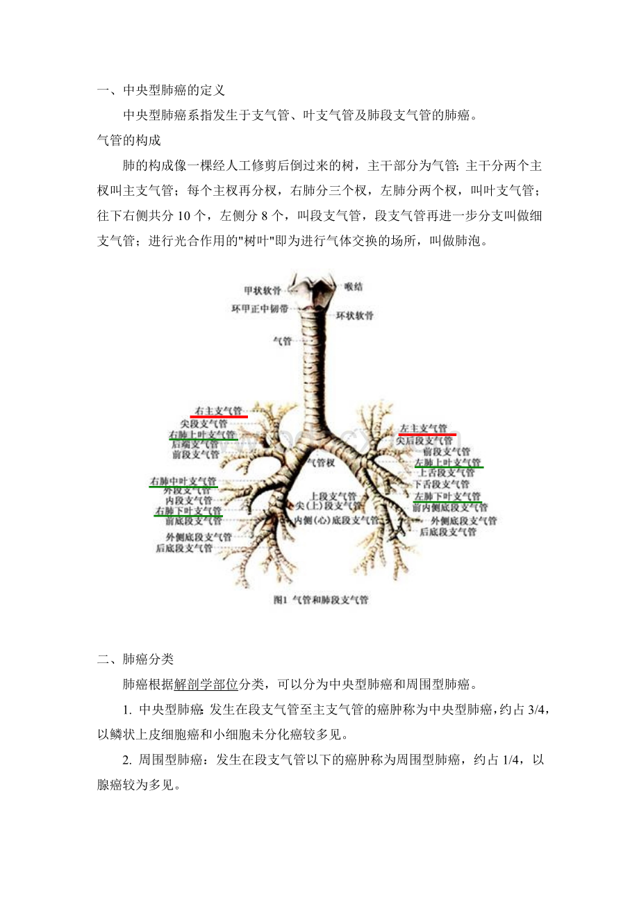 中央型肺癌基础及治疗方案_精品文档Word格式文档下载.doc_第2页