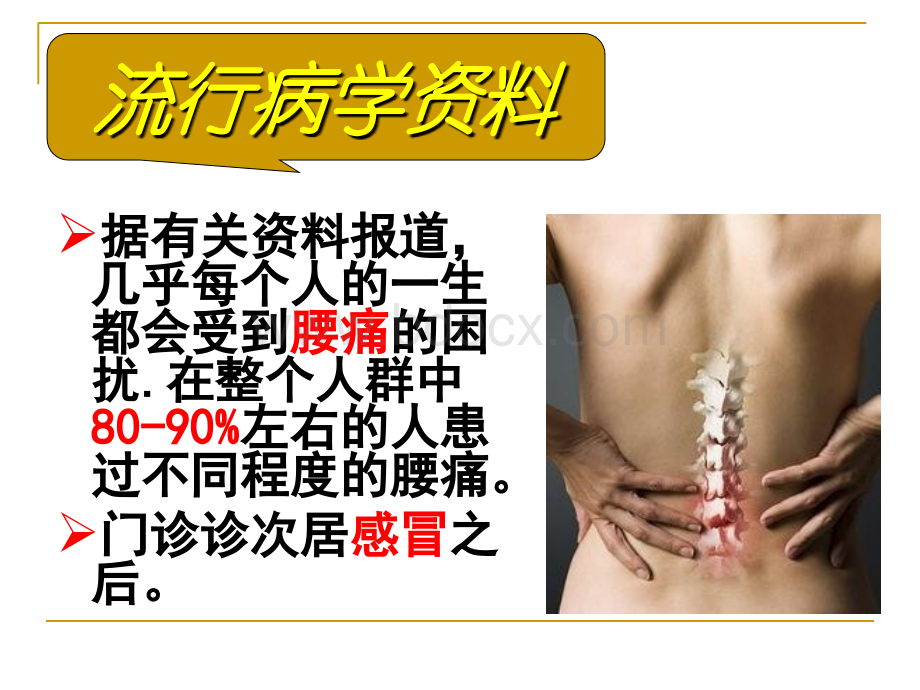 腰背痛朱前超_精品文档.ppt_第2页