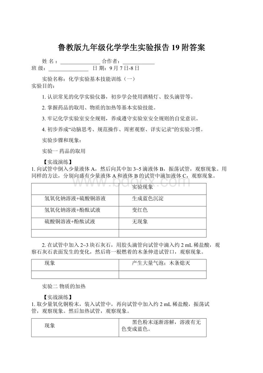 鲁教版九年级化学学生实验报告19附答案.docx_第1页