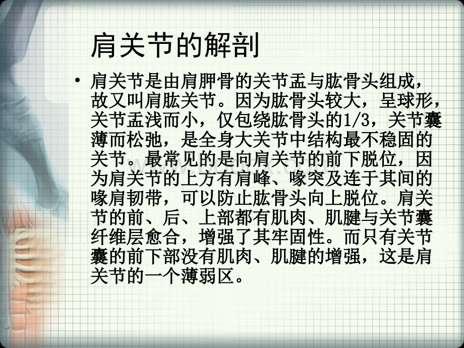 偏瘫性肩痛.ppt_第3页