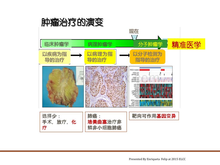 肺癌化疗进展PPT文档格式.pptx_第3页