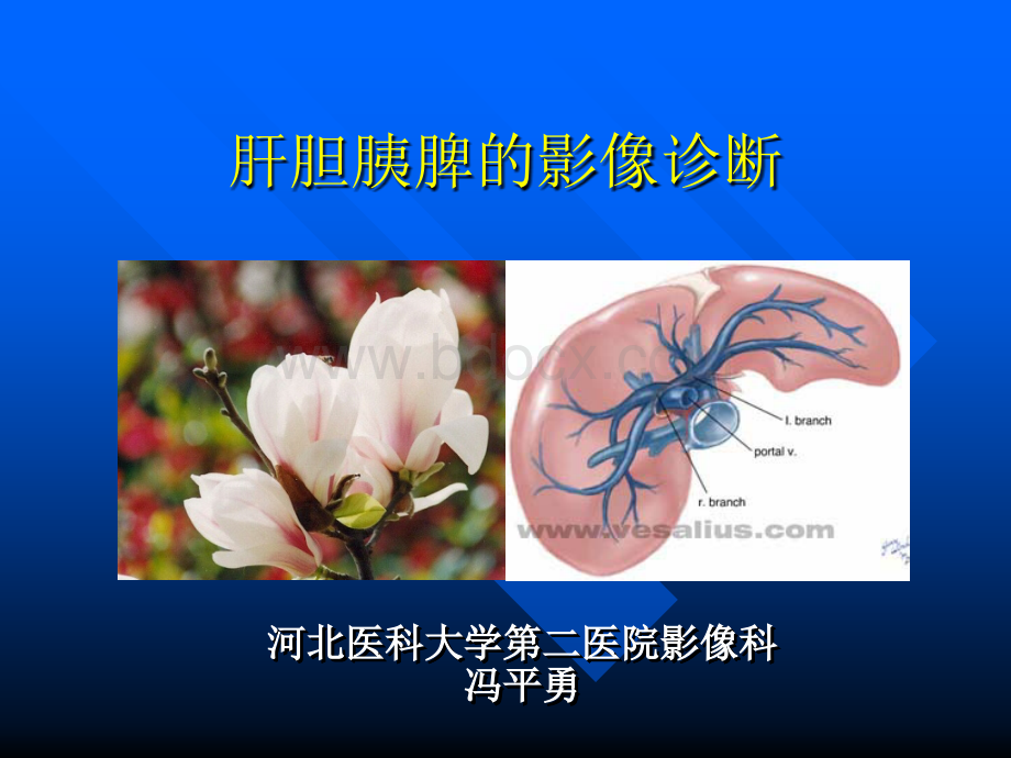 肝胆疾患的CT及MRI诊断.ppt_第1页