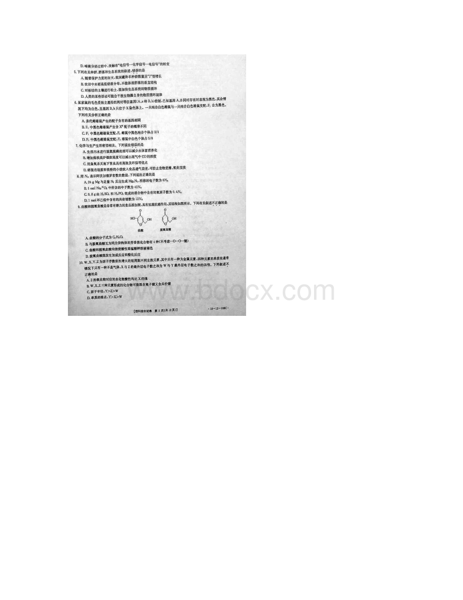 湖北省孝感一中应城一中等五校届高三上学期期末考试理科综合试题扫描版.docx_第2页