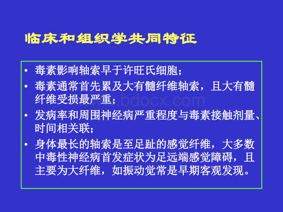 中毒性周围神经病.ppt_第2页