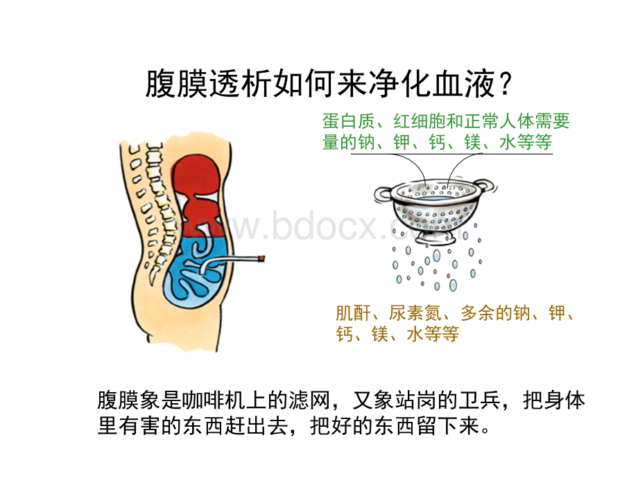 腹透病人培训幻灯_精品文档.ppt_第3页