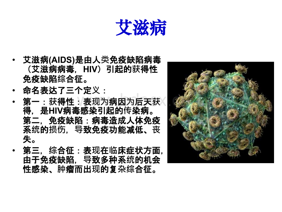 艾滋病与反歧视_精品文档.pptx_第2页