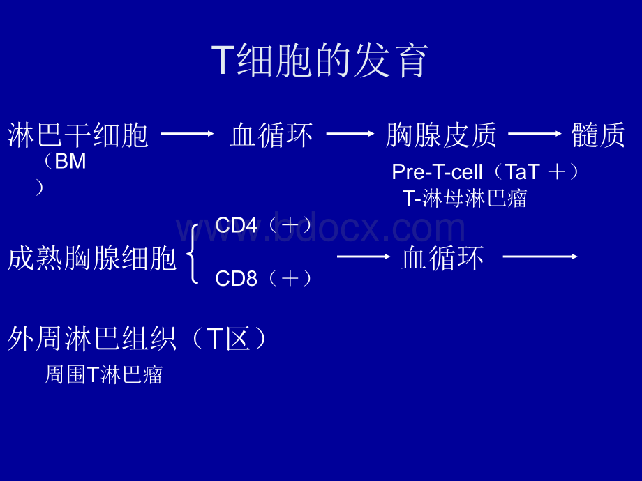 恶性淋巴瘤治疗进展PPT课件下载推荐.ppt_第3页