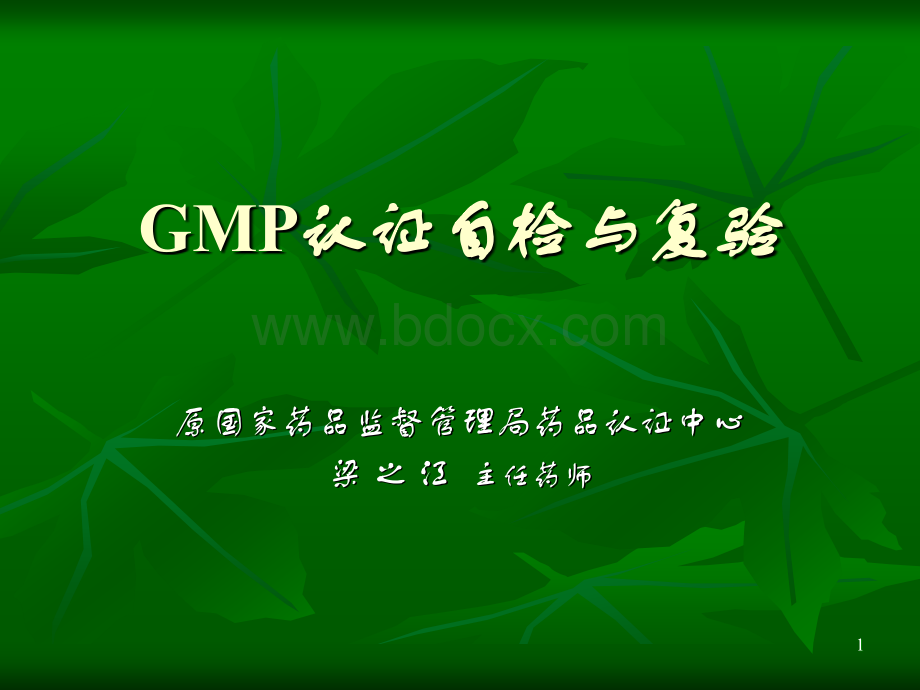 GMP认证自检与复验.ppt