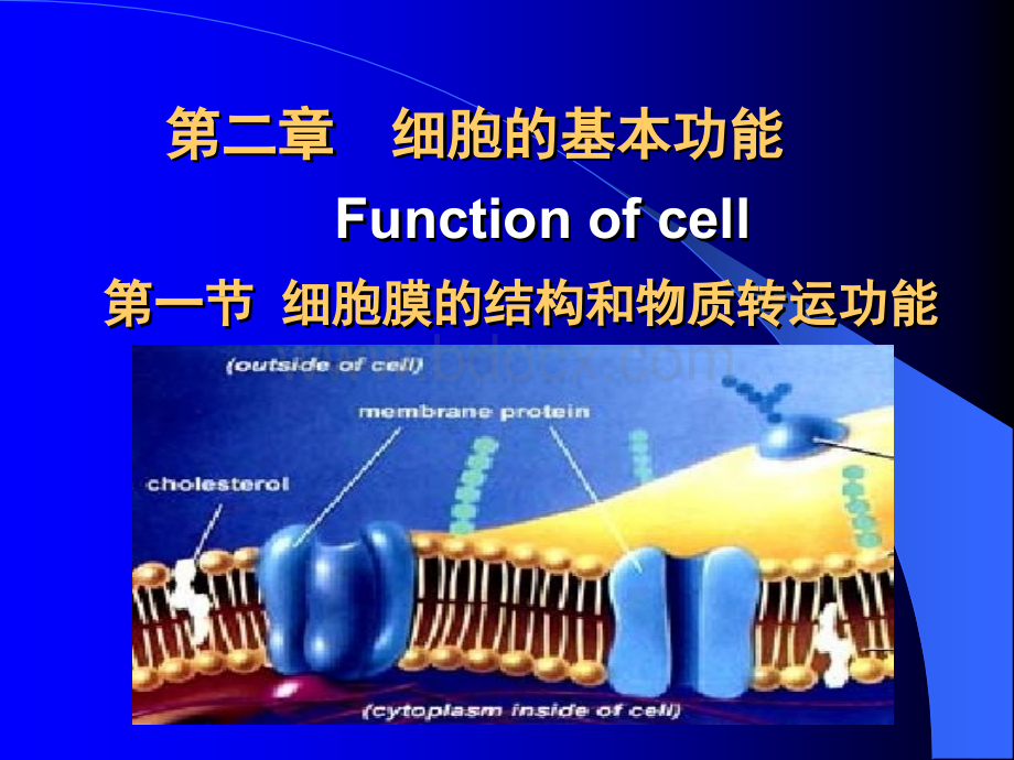 中国医科大学生理学-02细胞的基本功能.ppt_第1页