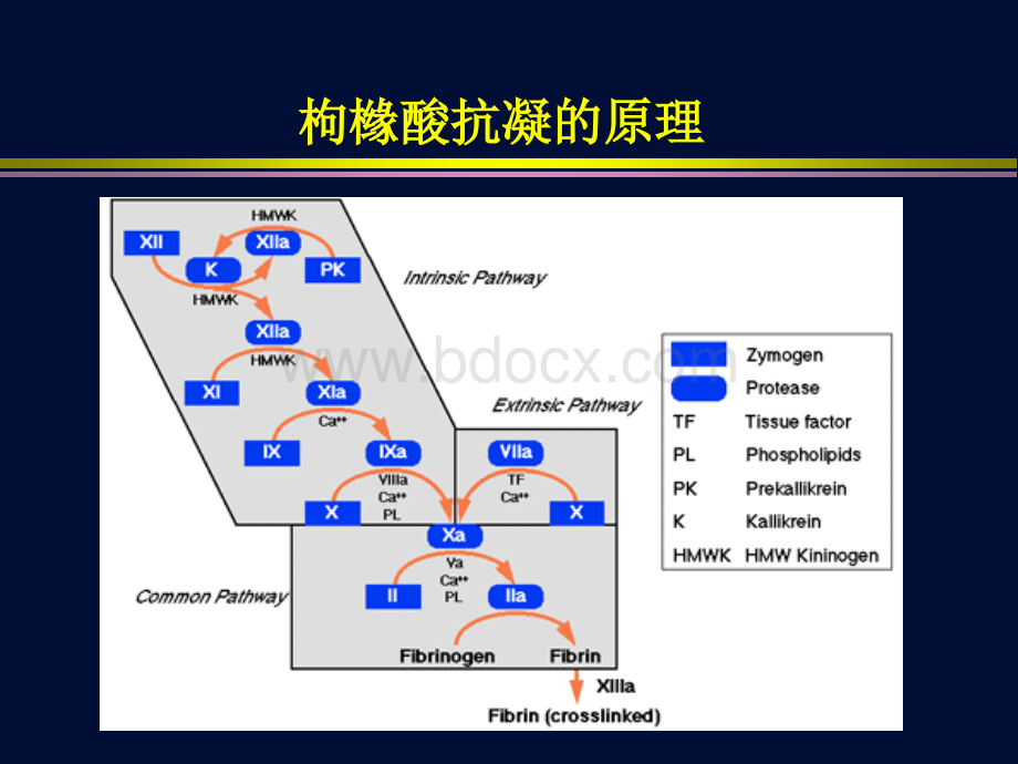 CRRT的局部枸橼酸抗凝.ppt_第2页