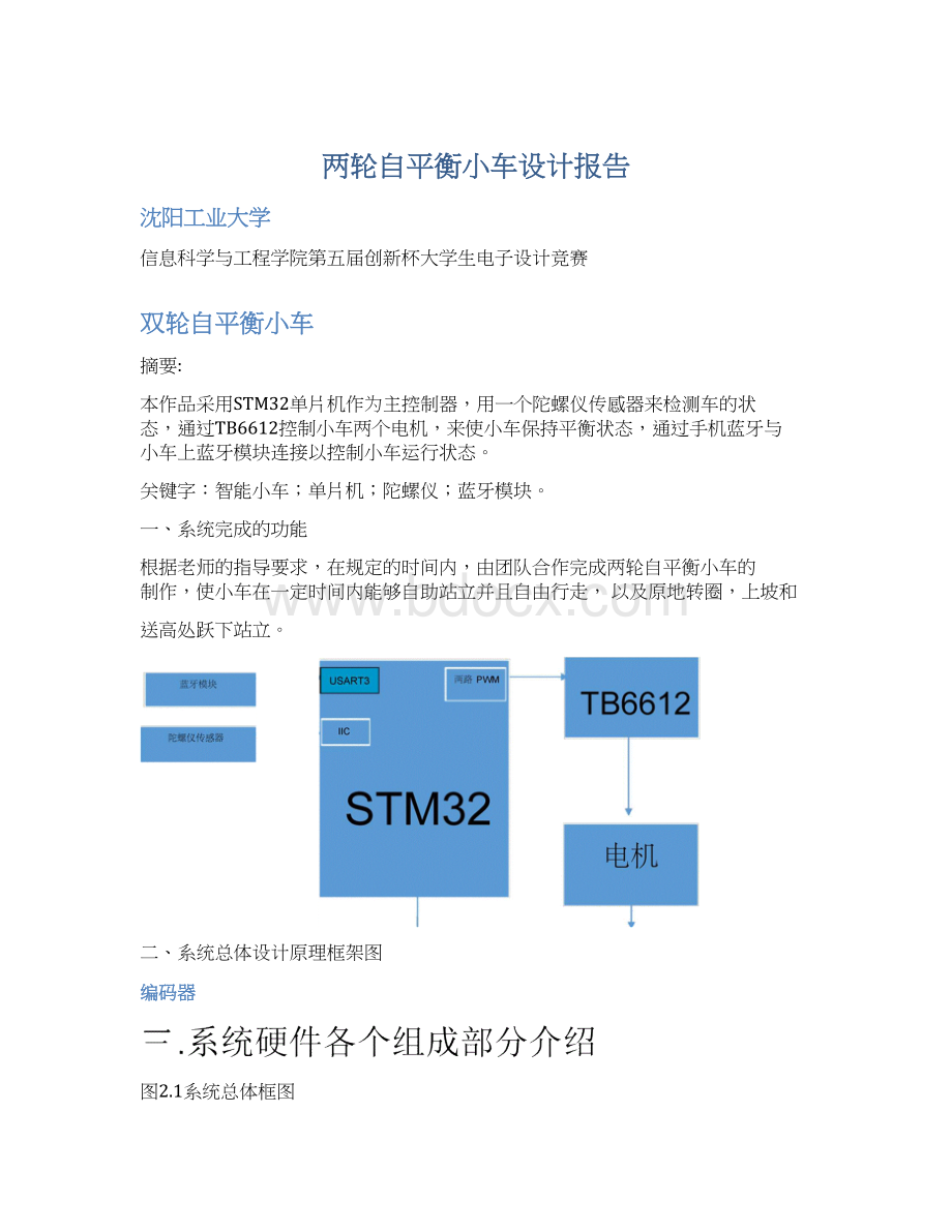 两轮自平衡小车设计报告.docx_第1页