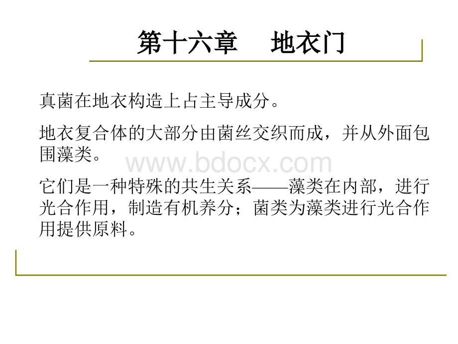 药用植物学-淅江大学16地衣门_精品文档PPT推荐.ppt_第3页