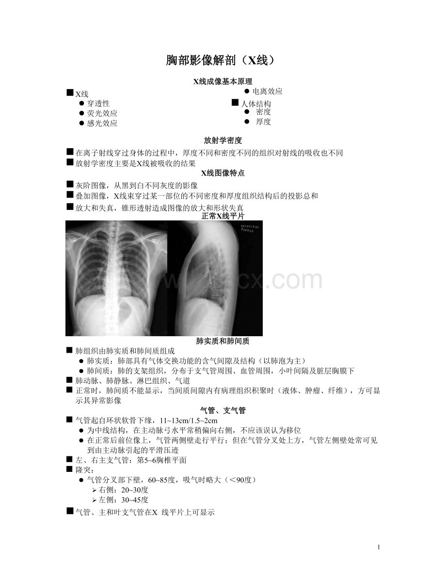 胸部影像解剖X线文本.doc