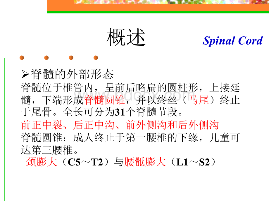 脊髓炎_精品文档PPT课件下载推荐.ppt_第2页