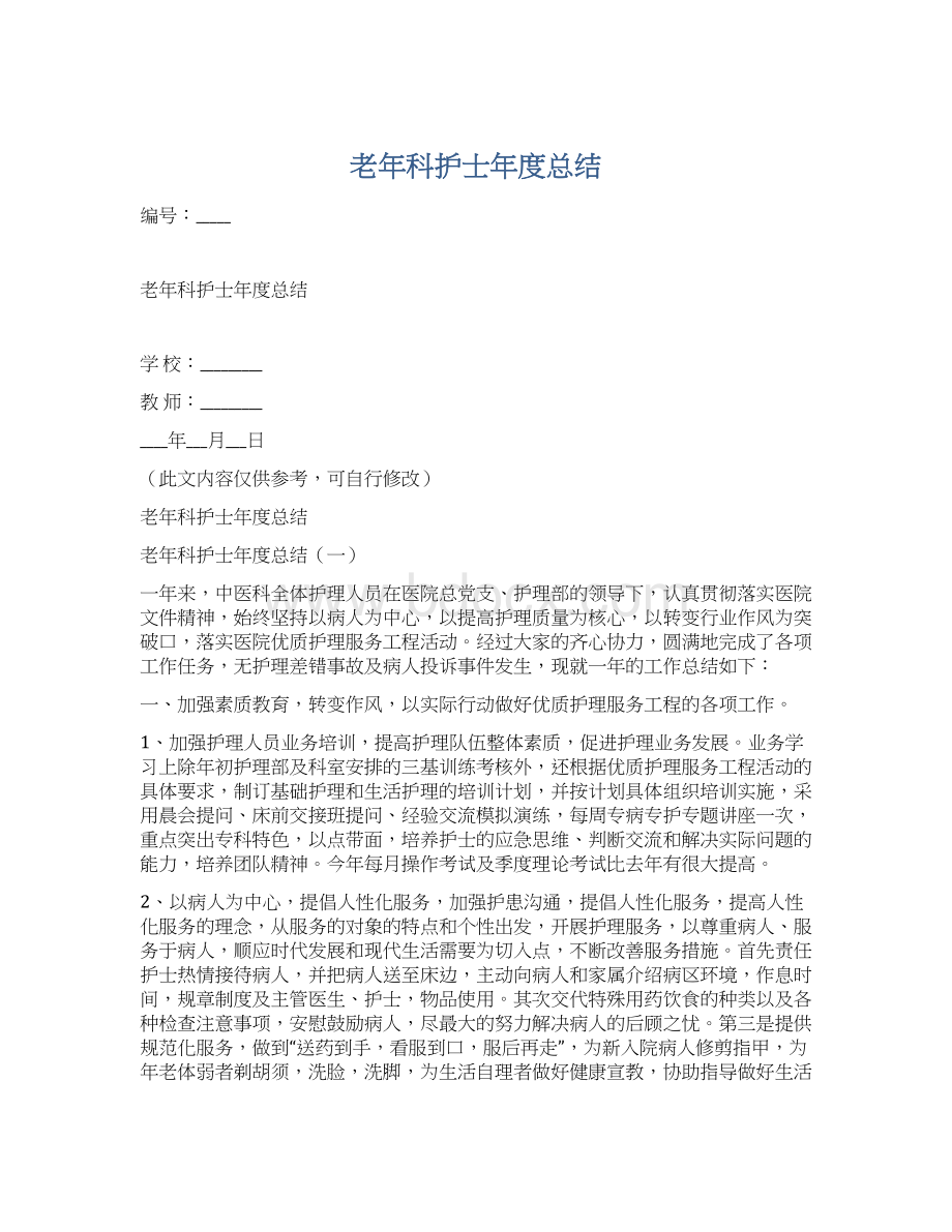 老年科护士年度总结文档格式.docx